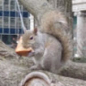 Meet your Posher, Dana